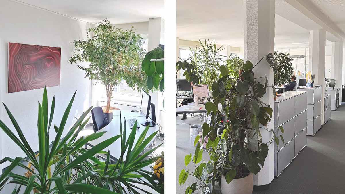 interserv, übersetzungsbüro zuerich